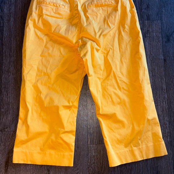 Coldwater creek 10 petite crop pants - Picture 4 of 7